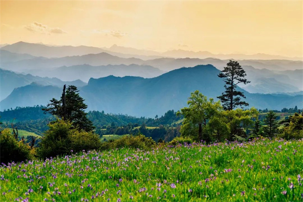 云南旅游,云南旅行社,云南團(tuán)建公司,云南策劃公司,云南會議會展,云南策劃執(zhí)行,麗江旅游,麗江旅行社,麗江團(tuán)建公司,麗江策劃公司：七月格拉丹，云海之外許你一片浪漫鳶尾